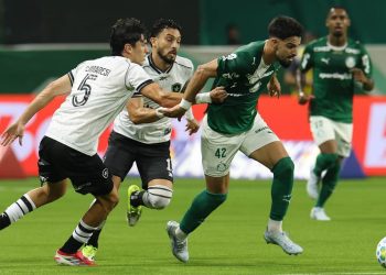 Créditos: Cesar Greco / Palmeiras