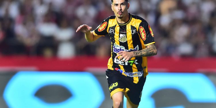 Palmeiras bate o martelo sobre Rômulo no Novorizontino 1 Créditos: Mauro Horita/Ag. Paulistão