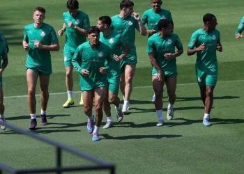 Créditos: Cesar Greco / Palmeiras