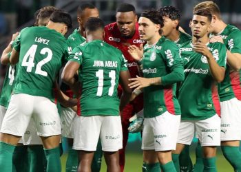 Créditos: Cesar Greco / Palmeiras