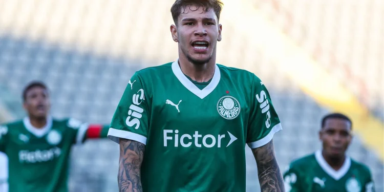 Créditos: Cesar Greco / Palmeiras
