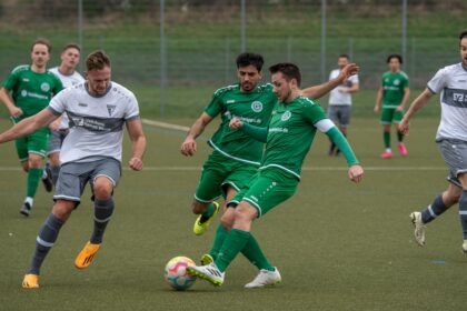 Palmeiras vive melhor fase defensiva desde o título de 2022, aponta Terra