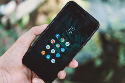 Datafolha: metade dos apostadores no Brasil joga só 1 vez por semana ou por quinzena