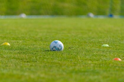Palmeiras retoma treinos na Academia de Futebol de olho no Brasileirão 2 Palmeiras retoma treinos na Academia de Futebol de olho no Brasileirão