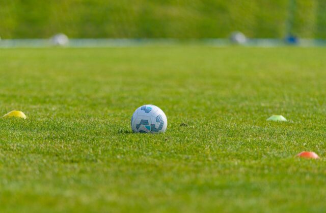 Palmeiras retoma treinos na Academia de Futebol de olho no Brasileirão 8 Palmeiras retoma treinos na Academia de Futebol de olho no Brasileirão