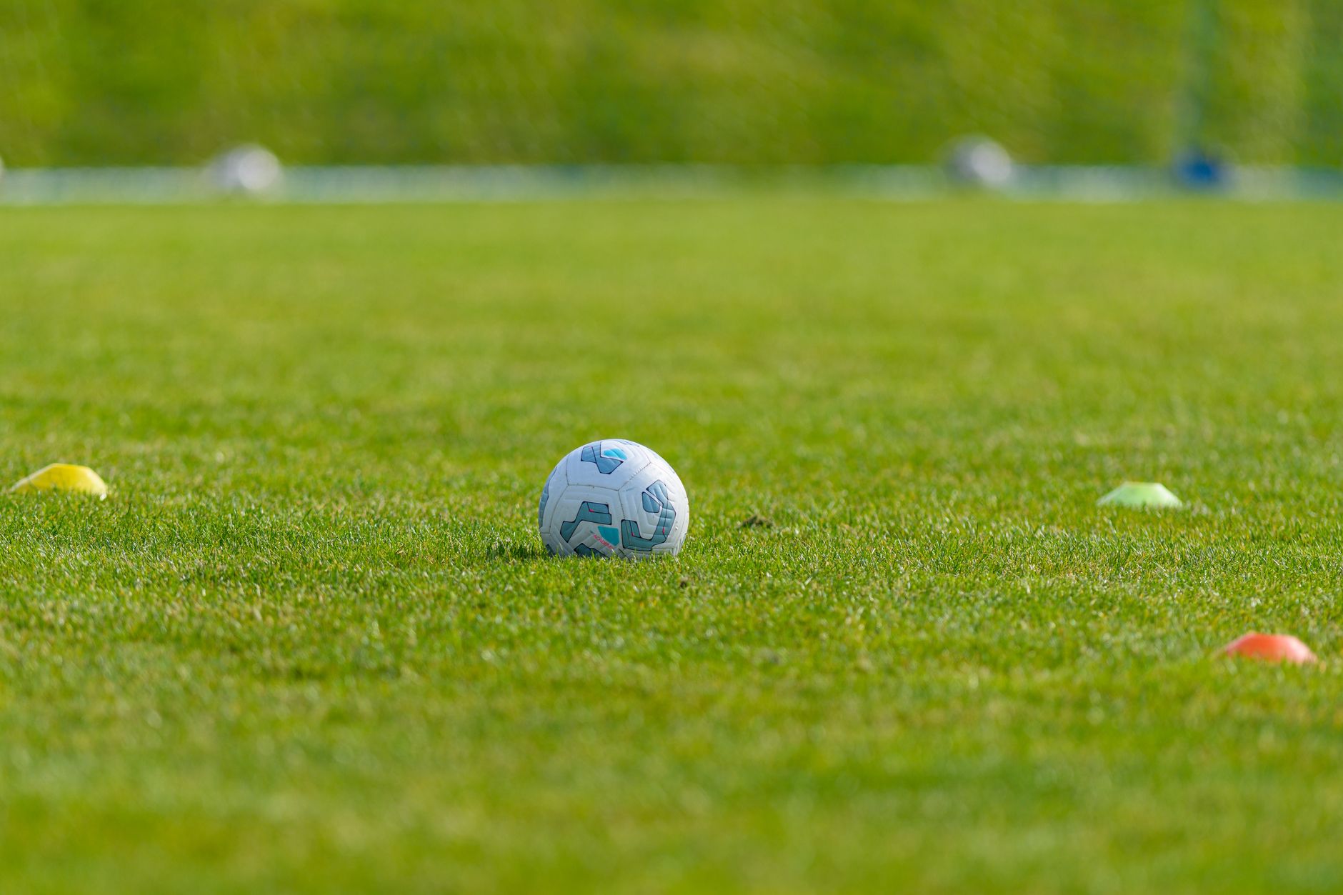 Palmeiras retoma treinos na Academia de Futebol de olho no Brasileirão