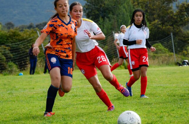 Mirassol e Corinthians duelam pelo Paulistão Feminino nesta quarta-feira 8 Mirassol e Corinthians duelam pelo Paulistão Feminino nesta quarta-feira