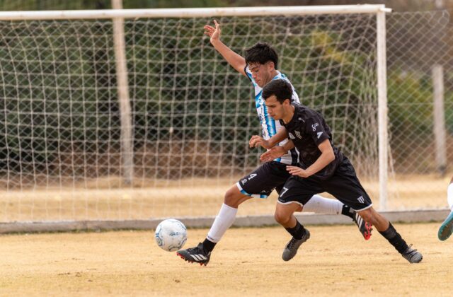 Palmeiras busca vitória e Vitor Roque tenta encerrar jejum de gols 5 Palmeiras busca vitória e Vitor Roque tenta encerrar jejum de gols