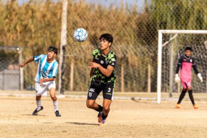 Palmeiras é irredutível por Allan e não planeja peça de reposição 2 Palmeiras é irredutível por Allan e não planeja peça de reposição