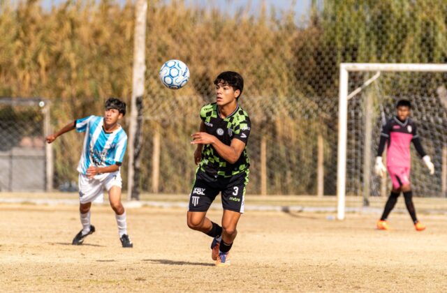 Palmeiras é irredutível por Allan e não planeja peça de reposição 3 Palmeiras é irredutível por Allan e não planeja peça de reposição