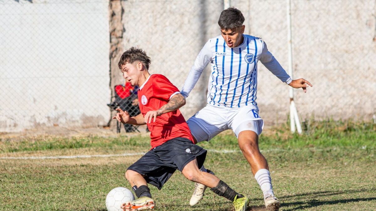 Terra lista os defensores do Palmeiras com mais cortes no Brasileirão 2026 1 Terra lista os defensores do Palmeiras com mais cortes no Brasileirão 2026