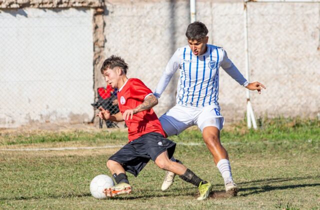 Terra lista os defensores do Palmeiras com mais cortes no Brasileirão 2026